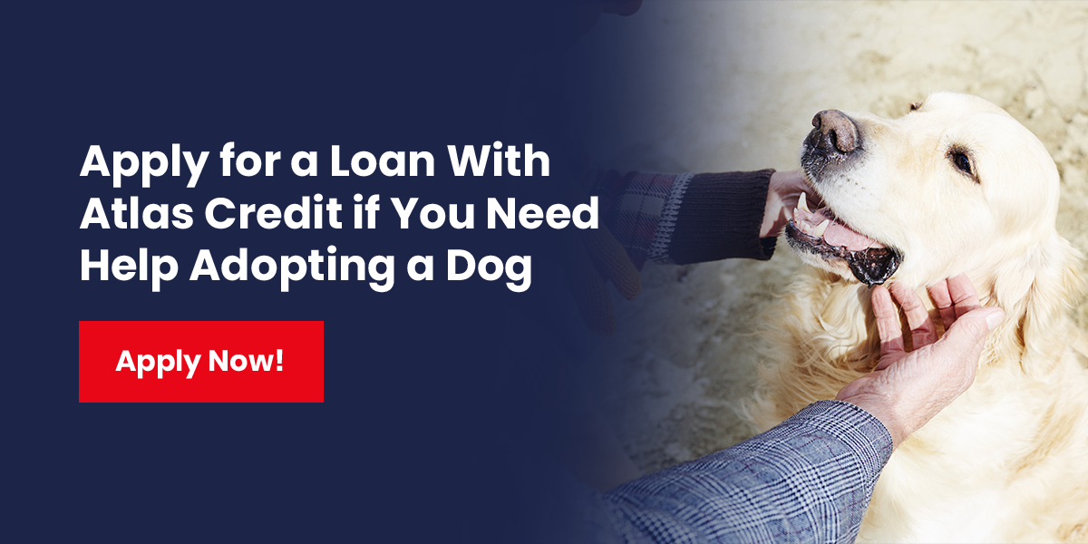 personal loans in Texas