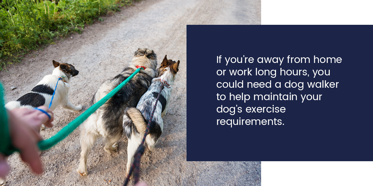 dog ownership budget